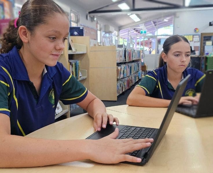 students working on the laptops