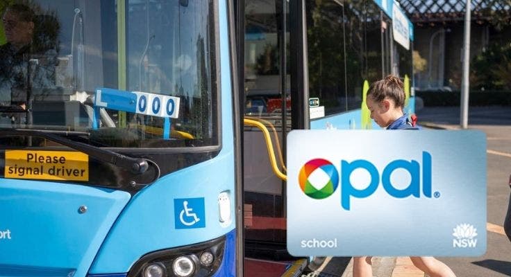 opal card and student entering the bus